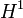 H^1
