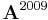 \mathbf{A}^{2009}