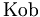\operatorname{Kob}