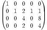 \begin{pmatrix}1&0&0&0&0\\0&1&2&1&1\\0&0&4&0&8\\0&0&2&0&4\end{pmatrix}